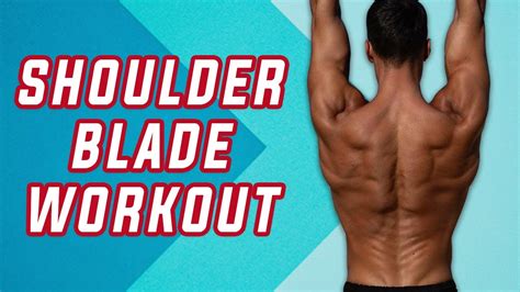 Back Shoulder Blade Workout
