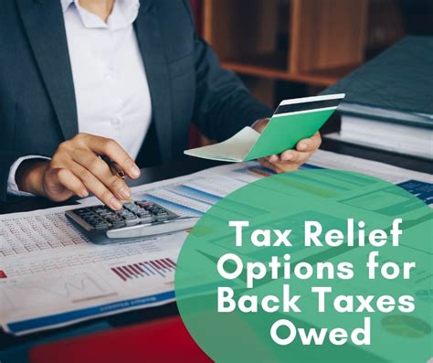 back taxes irs tax settlement options