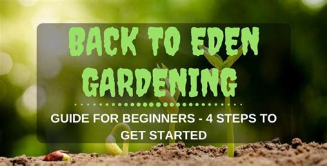 back to eden method gardening