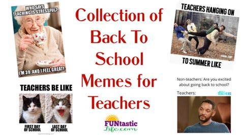40 Hilarious Back To School Memes Everyone Can Relate To