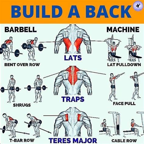 Back Workout Routine For Beginners
