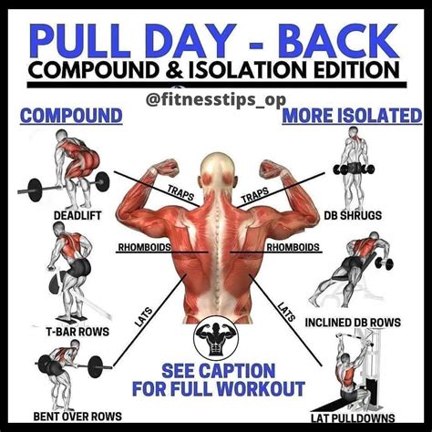 Back Workouts Chart