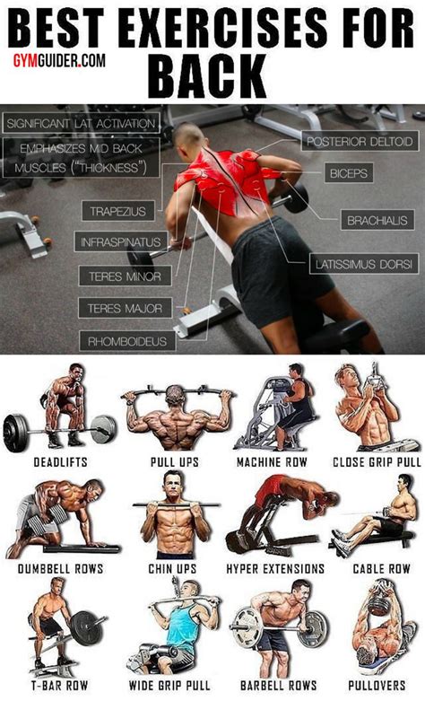 Back Workouts For Men