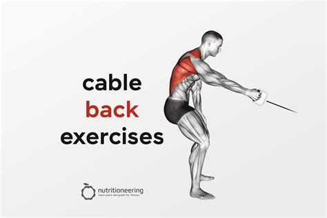 Back Workouts In Cables