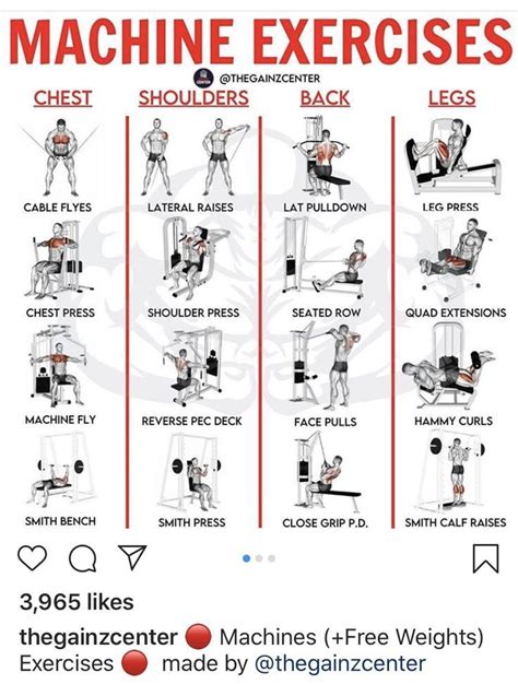 Back Workouts Using Machines