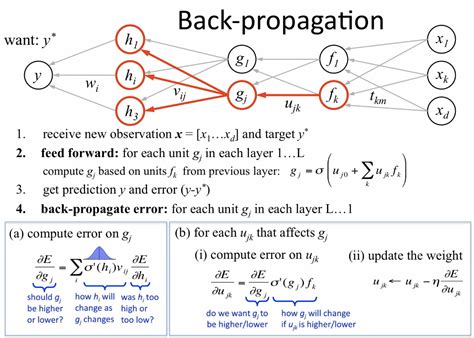 back-propagation is an optimization algorithm