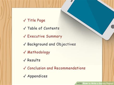 background and objectives of survey report example
