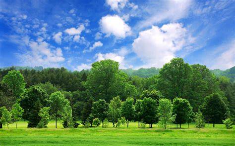 background nature