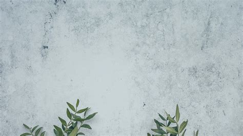 background on google meet