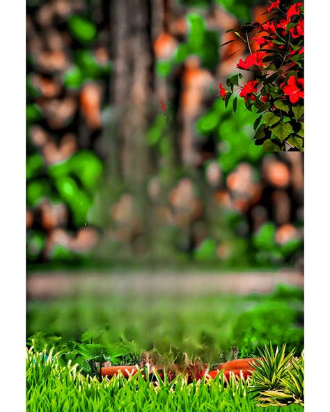 Background Photo Editor New