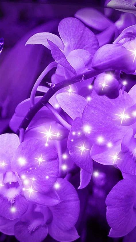 Background Purple With Flower