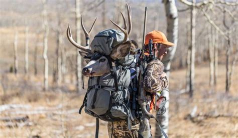 Backpack For Hunting Elk