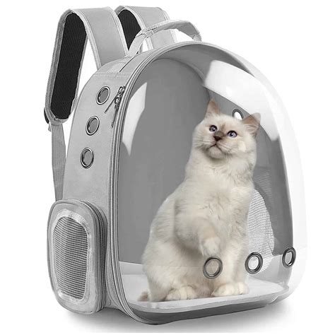 Backpack For Your Cat