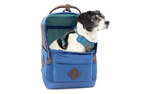 Backpack With Dog Clip
