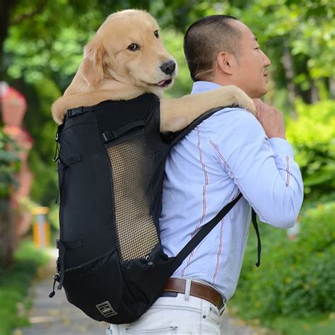 Backpacks For Large Dogs