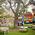 backyard birthday party ideas for kids