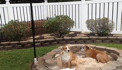 Backyard Ideas For Dogs