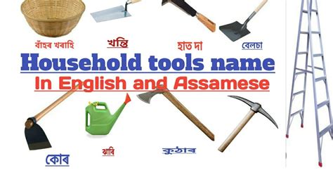 backyard assamese meaning