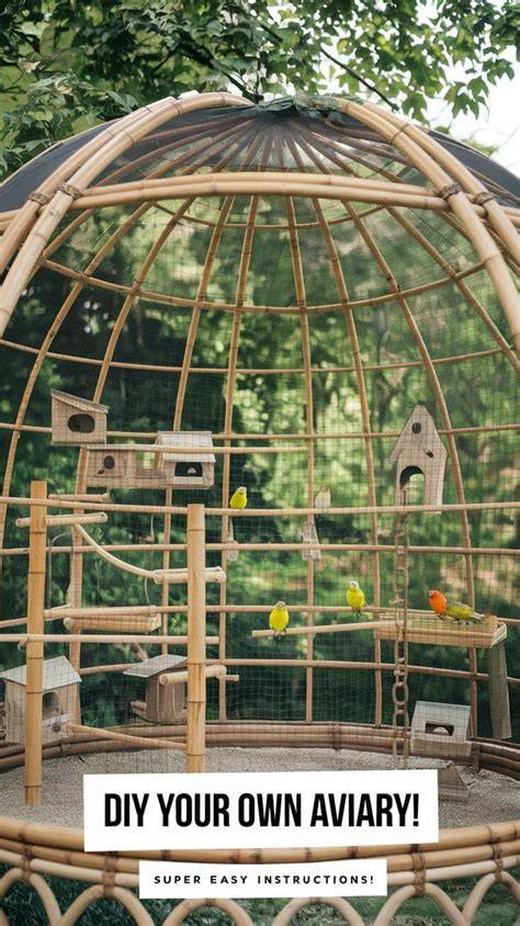 backyard aviary adventures