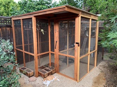 backyard aviary ideas