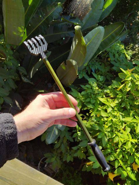 backyard back scratcher