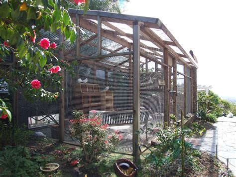 aviary ideas Backyard birds sanctuary, Bird aviary, Aviary