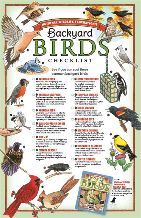 Backyard Birds Guide