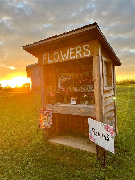 backyard blooms greenhouse