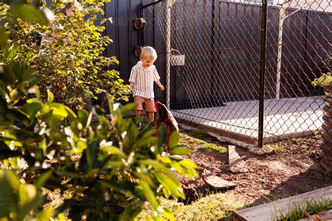 backyard boy download