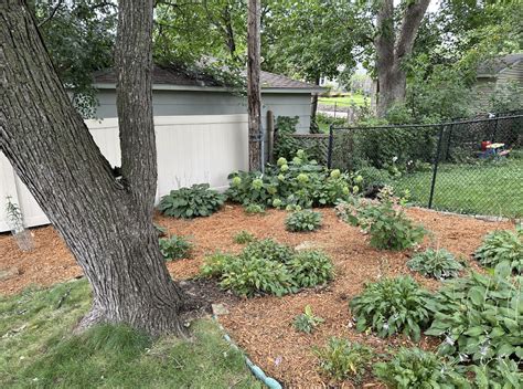 backyard boys landscaping