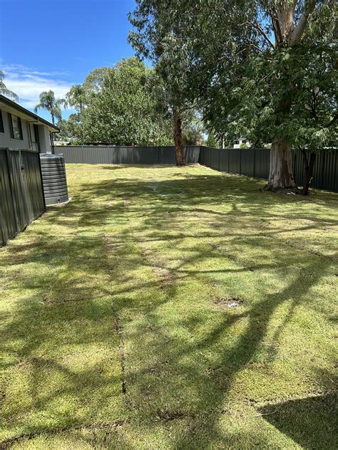 backyard boyz landscaping