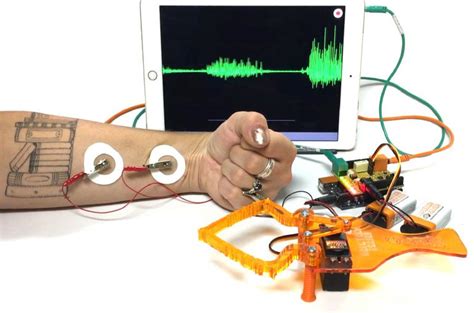 backyard brains control