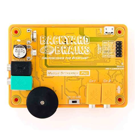 backyard brains device