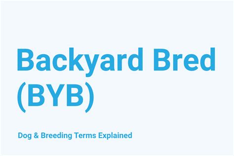 backyard bred meaning