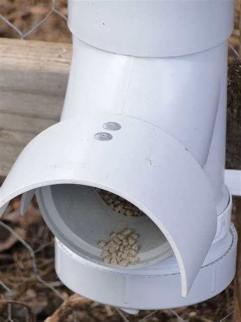 Backyard Chicken Feeder