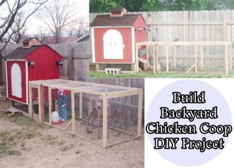 Backyard Chicken Project