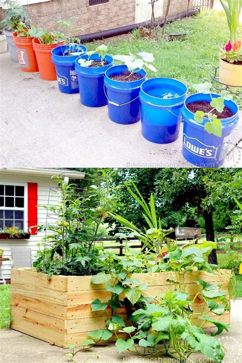 backyard container vegetable garden ideas