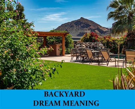 backyard dream meaning