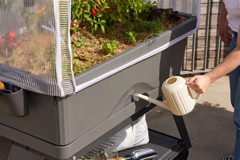 backyard farmer meaning