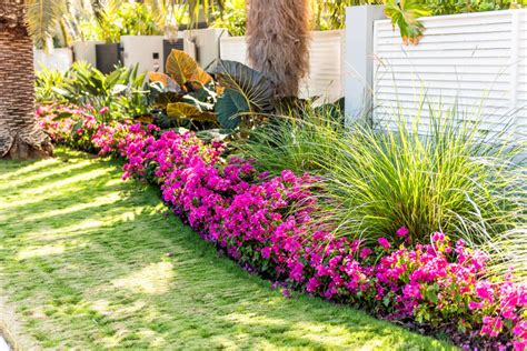 backyard garden ideas florida