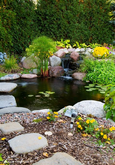 Backyard Garden Koi Pond