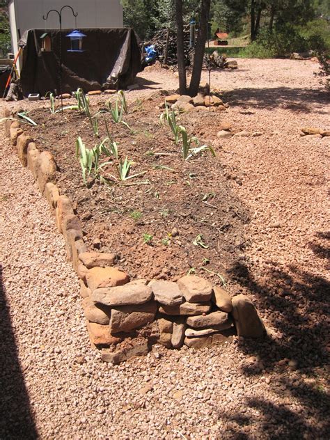 backyard garden soil