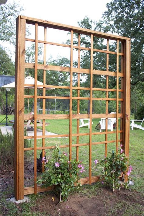 backyard garden trellis ideas