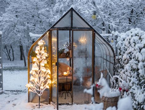 backyard greenhouse for winter