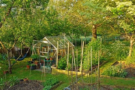 backyard greenhouse placement