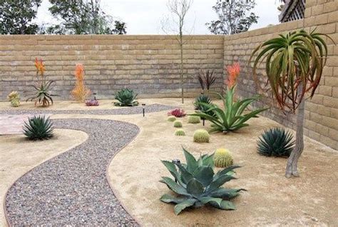 backyard ideas desert