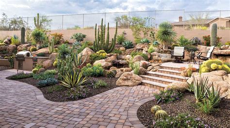 backyard landscaping desert
