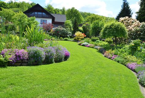 backyard landscaping meaning