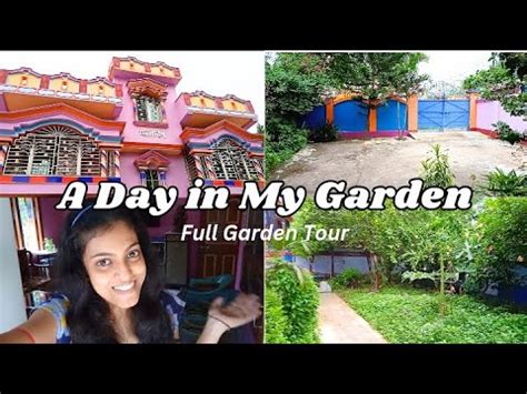 backyard meaning bengali