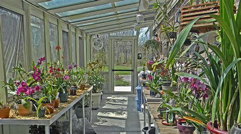 backyard orchid greenhouse